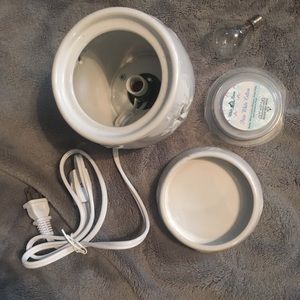 Electric Wax Warmer (Scented Wax Melter)